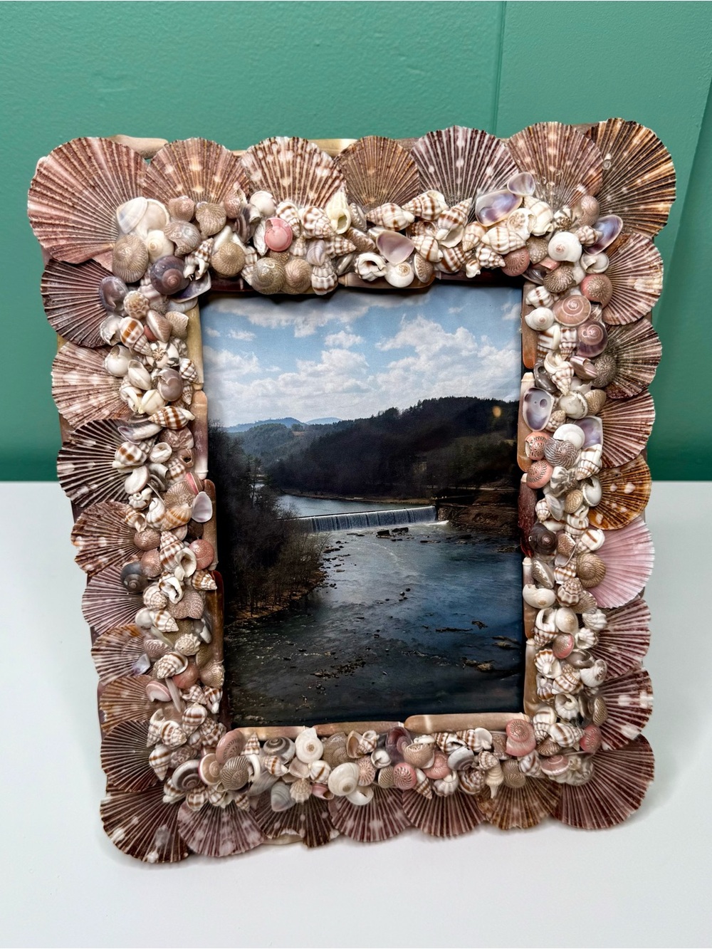 Seashell Shell Photo Picture Frame Natural Coastal Beachy Beach House Decor